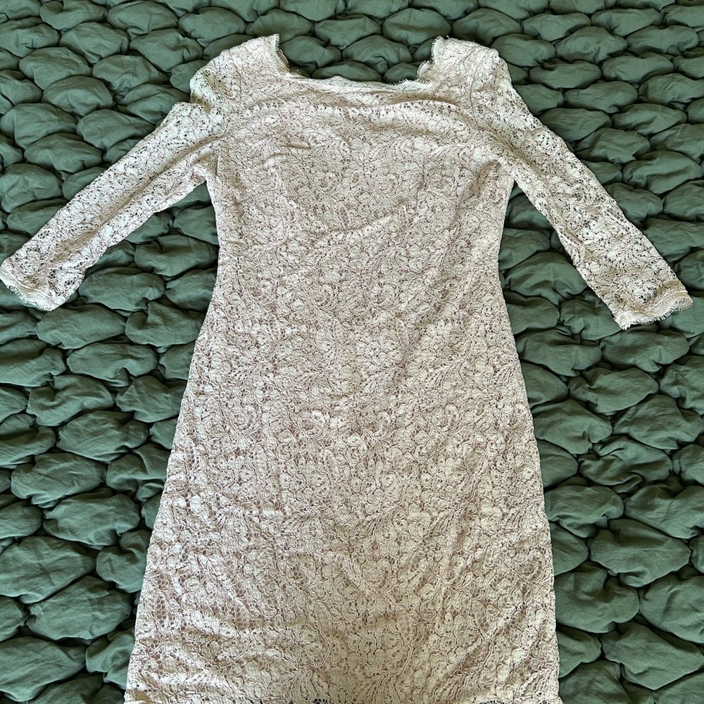 Adriana Papell Elegant Dusty Rose Lace Dress